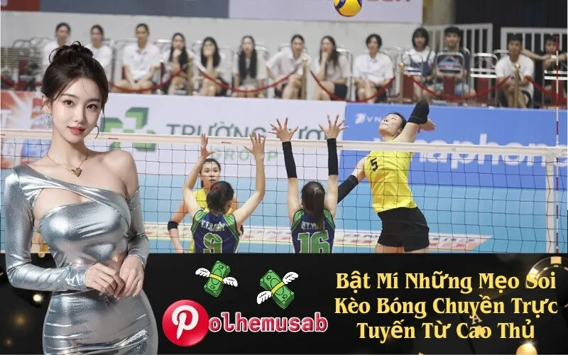 Bật Mí Những Mẹo Soi Kèo Bóng Chuyền Trực Tuyến Từ Cao Thủ