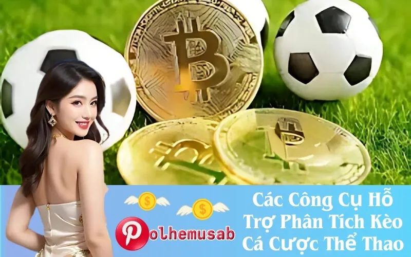 Các Công Cụ Hỗ Trợ Phân Tích Kèo Cá Cược Thể Thao