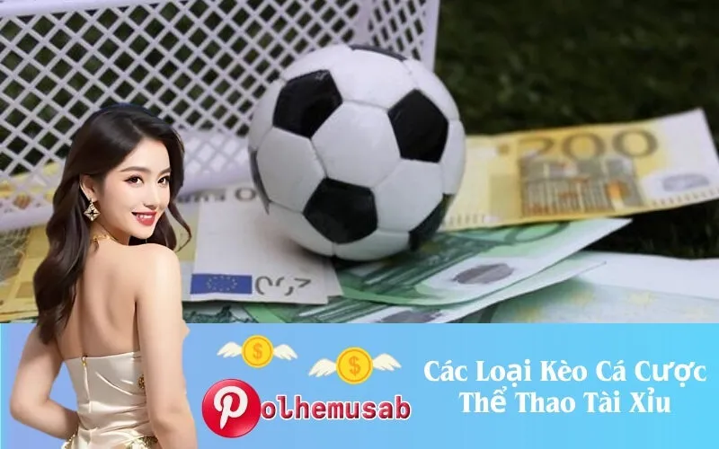 Các Loại Kèo Cá Cược Thể Thao Tài Xỉu