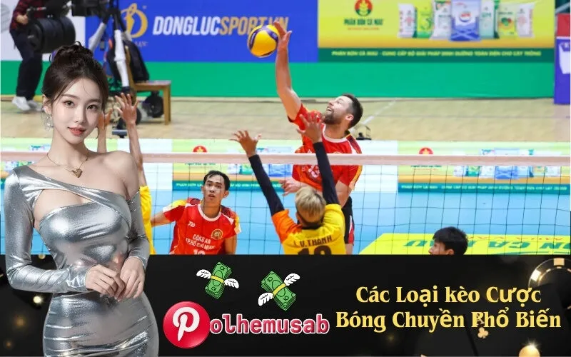 Các Loại kèo Cược Bóng Chuyền Phổ Biến