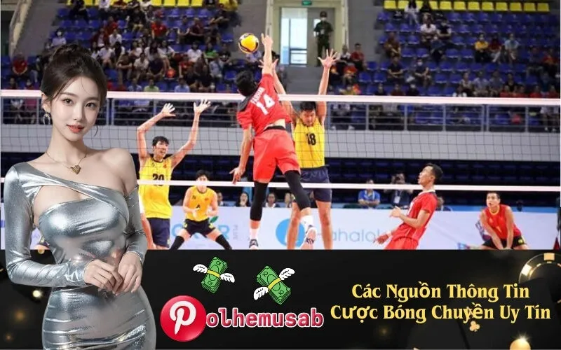 Các Nguồn Thông Tin Cược Bóng Chuyền Uy Tín