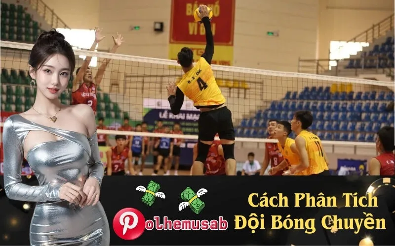 _Cách Phân Tích Đội Bóng Chuyền