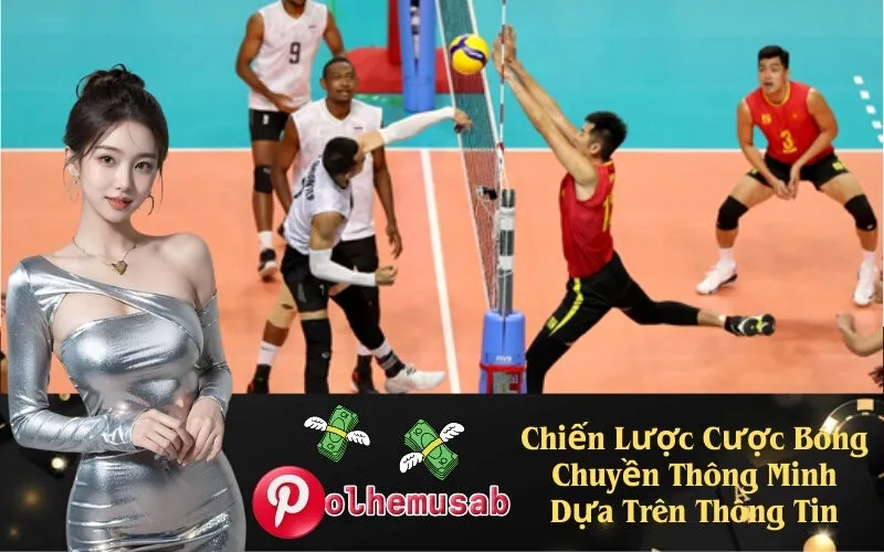 Chiến Lược Cược Bóng Chuyền Thông Minh Dựa Trên Thông Tin