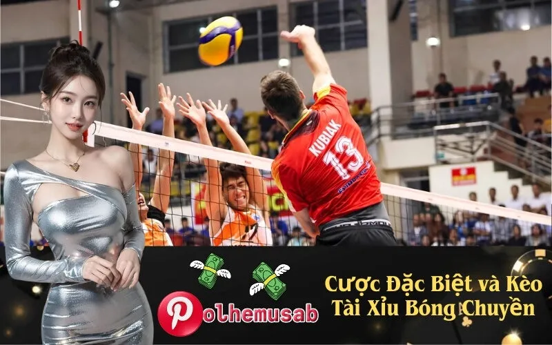 Cược Đặc Biệt và Kèo Tài Xỉu Bóng Chuyền