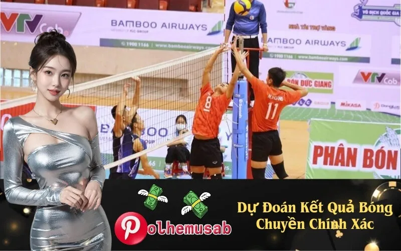 Dự Đoán Kết Quả Bóng Chuyền Chính Xác