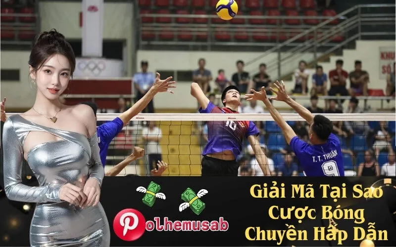 Giải Mã Tại Sao Cược Bóng Chuyền Hấp Dẫn