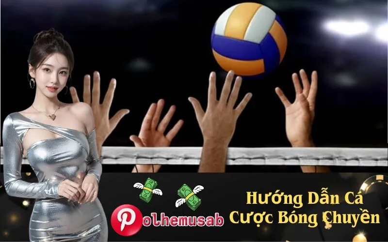 Hướng Dẫn Cá Cược Bóng Chuyền