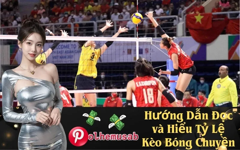 Hướng Dẫn Đọc và Hiểu Tỷ Lệ Kèo Bóng Chuyền