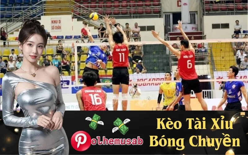 Kèo Tài Xỉu Bóng Chuyền