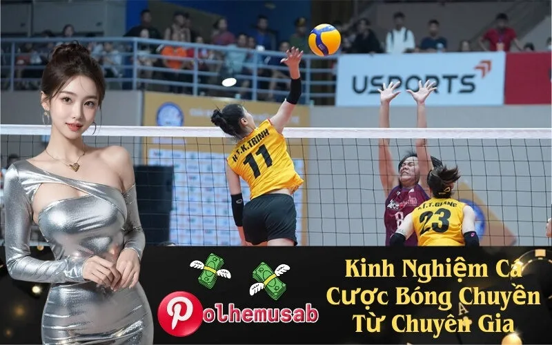 Kinh Nghiệm Cá Cược Bóng Chuyền Từ Chuyên Gia