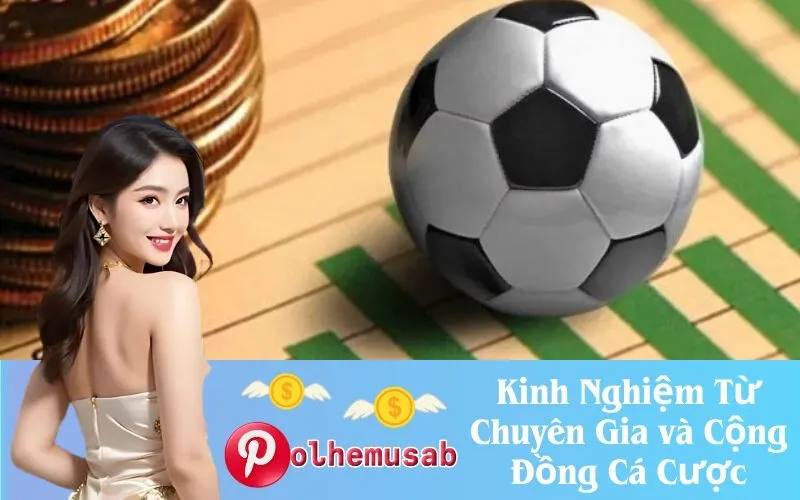 Kinh Nghiệm Từ Chuyên Gia và Cộng Đồng Cá Cược