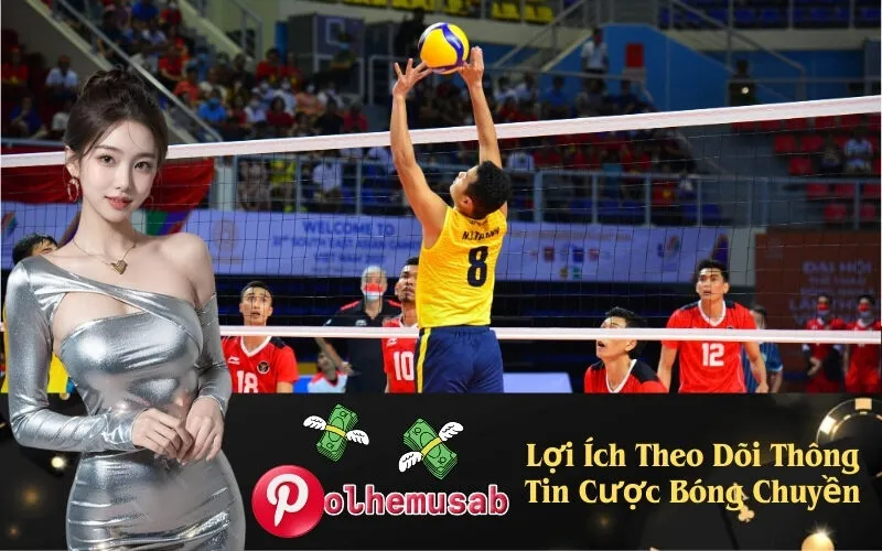 Lợi Ích Theo Dõi Thông Tin Cược Bóng Chuyền