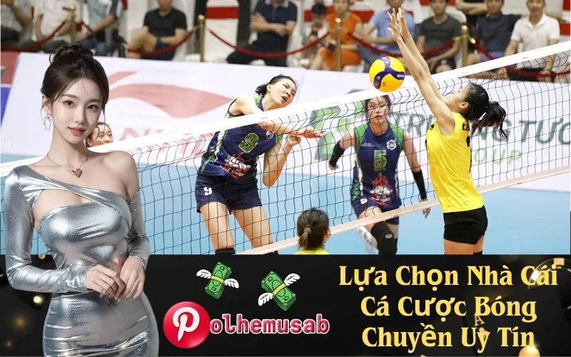 Lựa Chọn Nhà Cái Cá Cược Bóng Chuyền Uy Tín