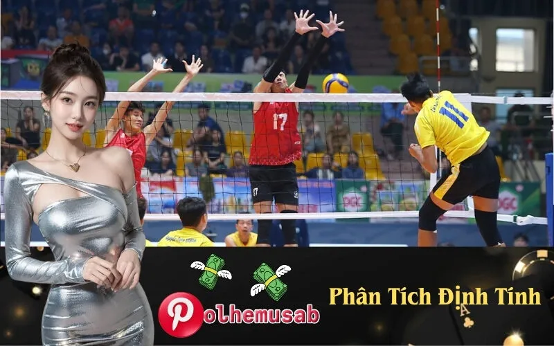 Phân Tích Định Tính