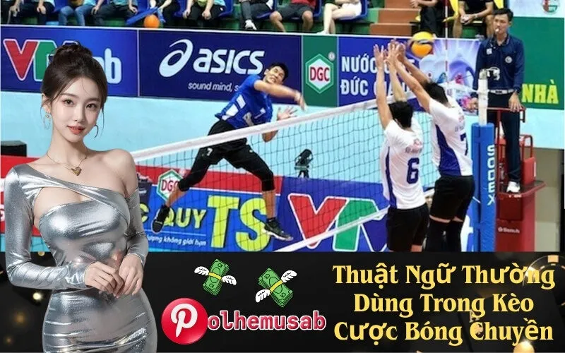 Thuật Ngữ Thường Dùng Trong Kèo Cược Bóng Chuyền
