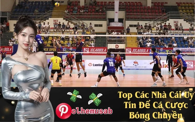 Top Các Nhà Cái Uy Tín Để Cá Cược Bóng Chuyền