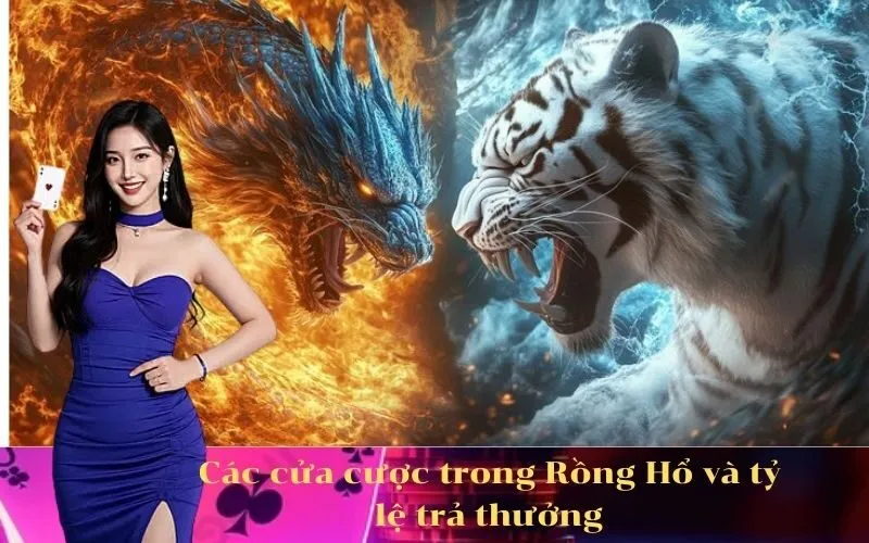 Các cửa cược trong Rồng Hổ và tỷ lệ trả thưởng
